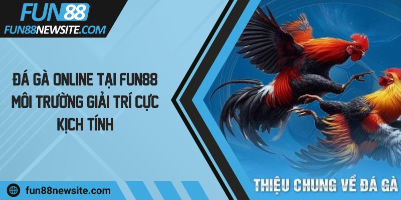 Đá gà online tại FUN88 - Môi trường giải trí cực kịch tính
